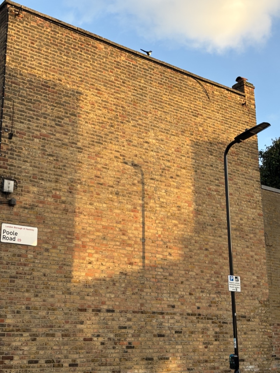 Photograph of exterior brick wall. Shadows from a lamp post and neighbouring buildings cover half the surface. A bird sits atop the house.